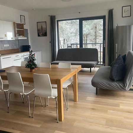 Klubovna u Kanálu KuK - apartman lux Racice (Usti nad Labem) Exterior foto